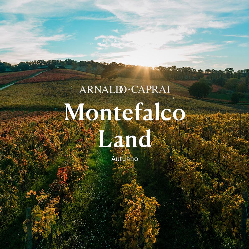 Esperienza Montefalco Land Autunno Inverno Cantina Arnaldo Caprai